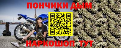 сатива Ирбит