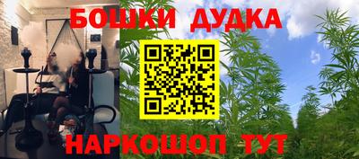 ПСИЛОЦИБИНОВЫЕ ГРИБЫ Изобильный